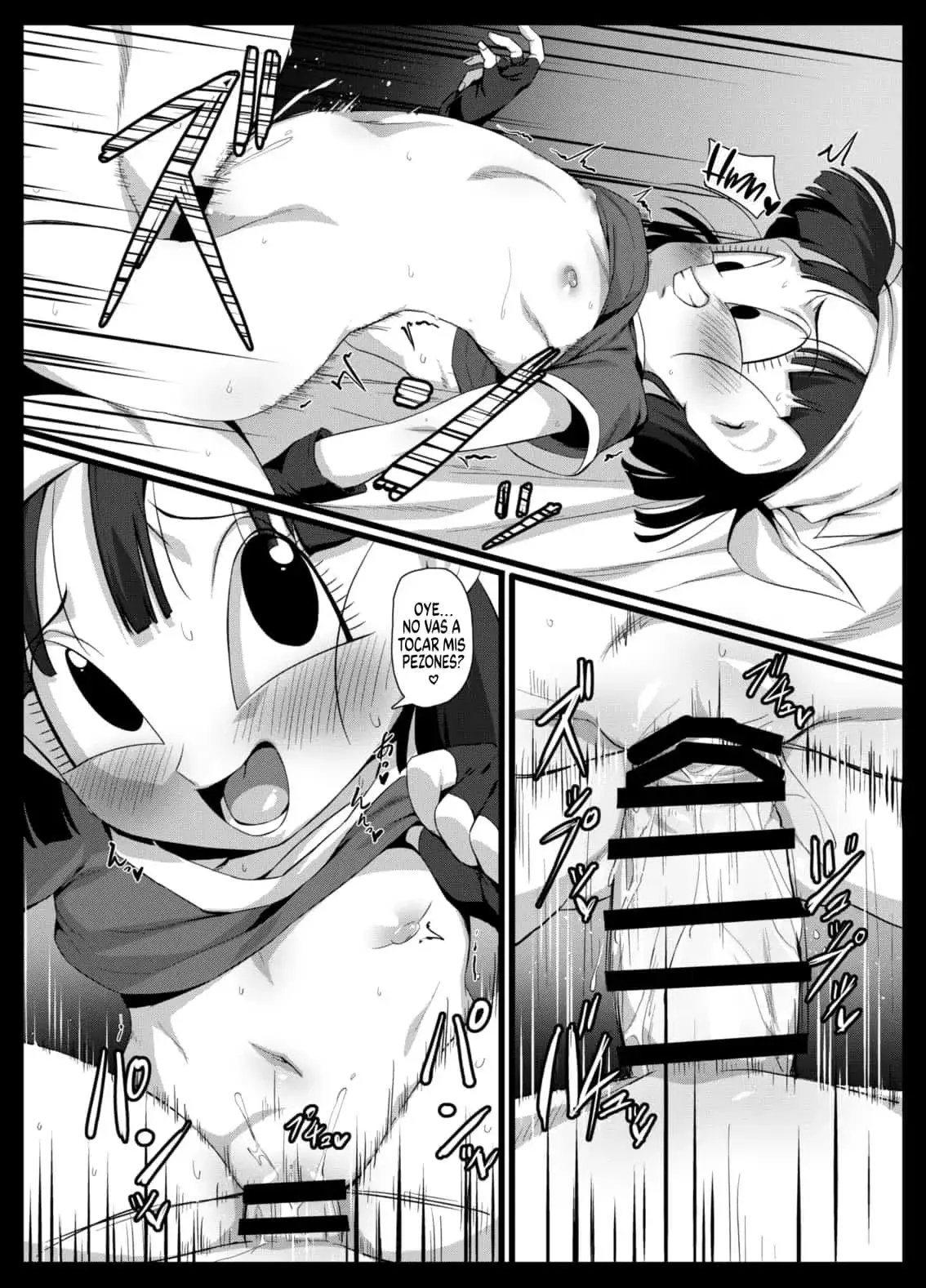seme pan rom 13