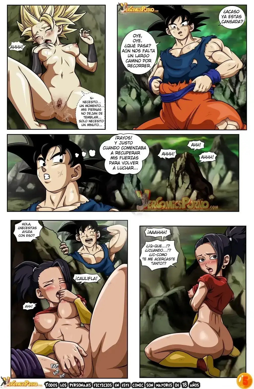 Dragon Ball 06