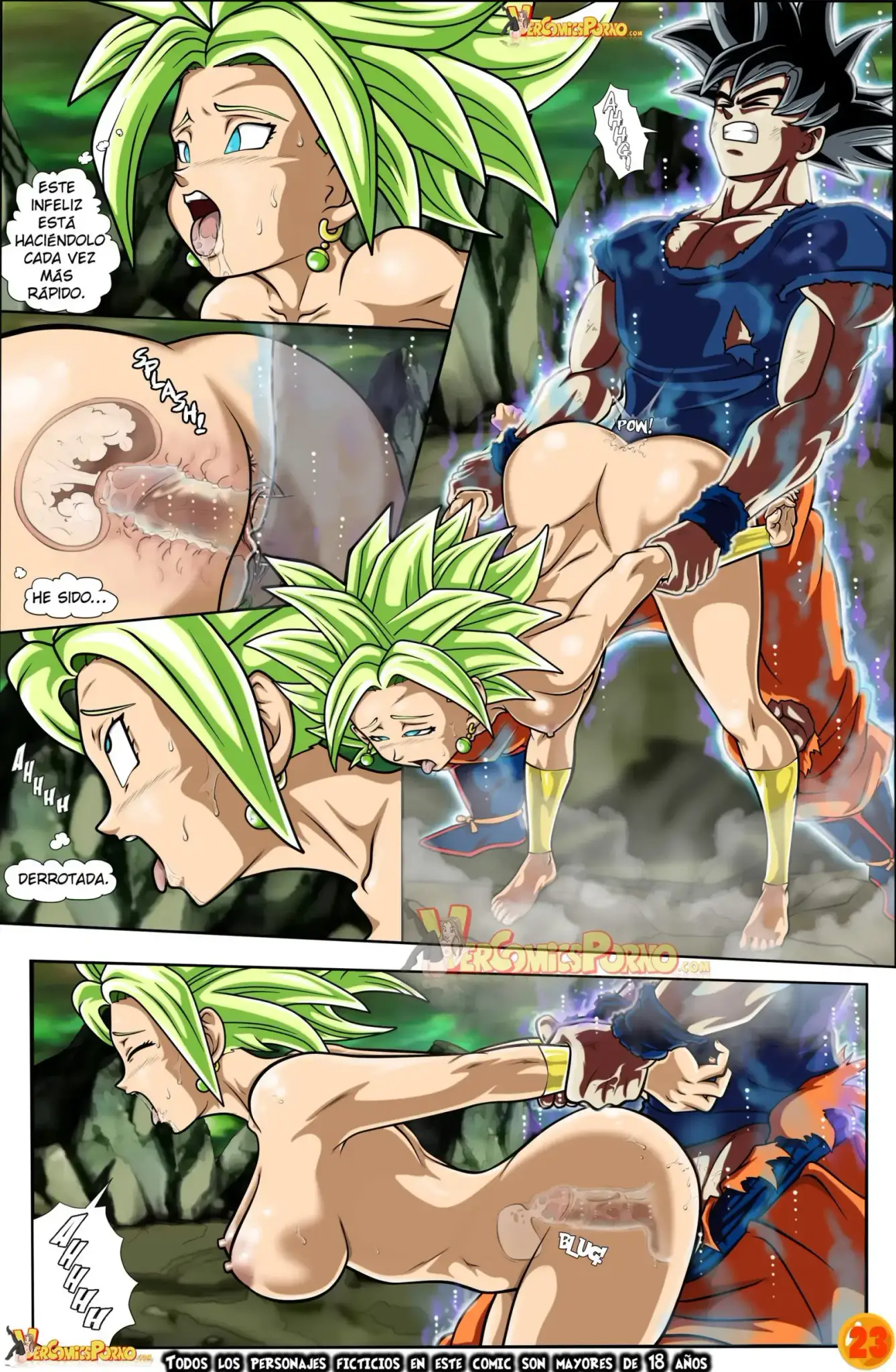 Dragon Ball 24