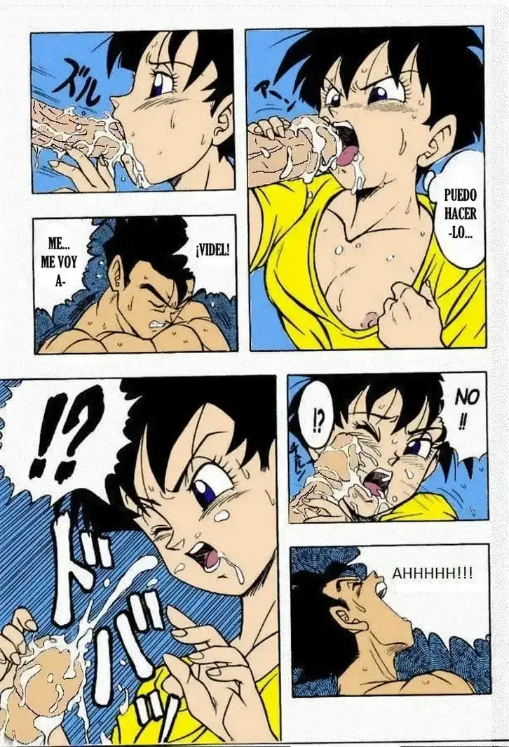 Dragon Ball H Gohan x Videl 13