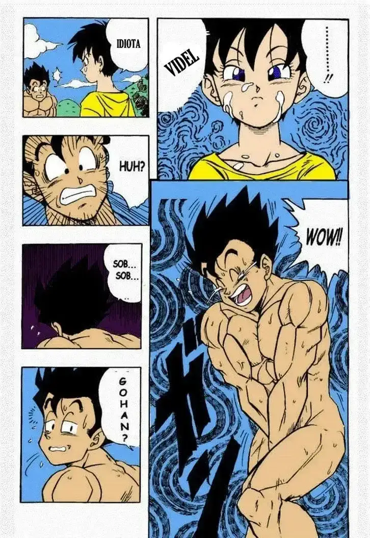 Dragon Ball H Gohan x Videl 14
