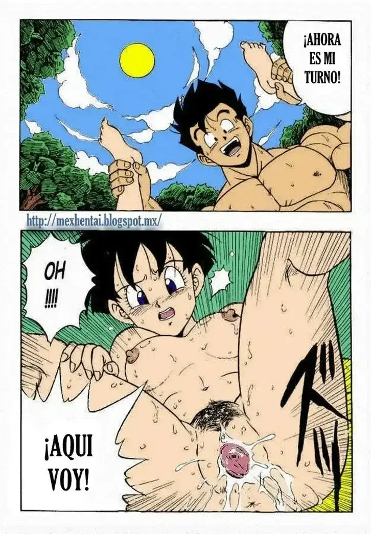 Dragon Ball H Gohan x Videl 25