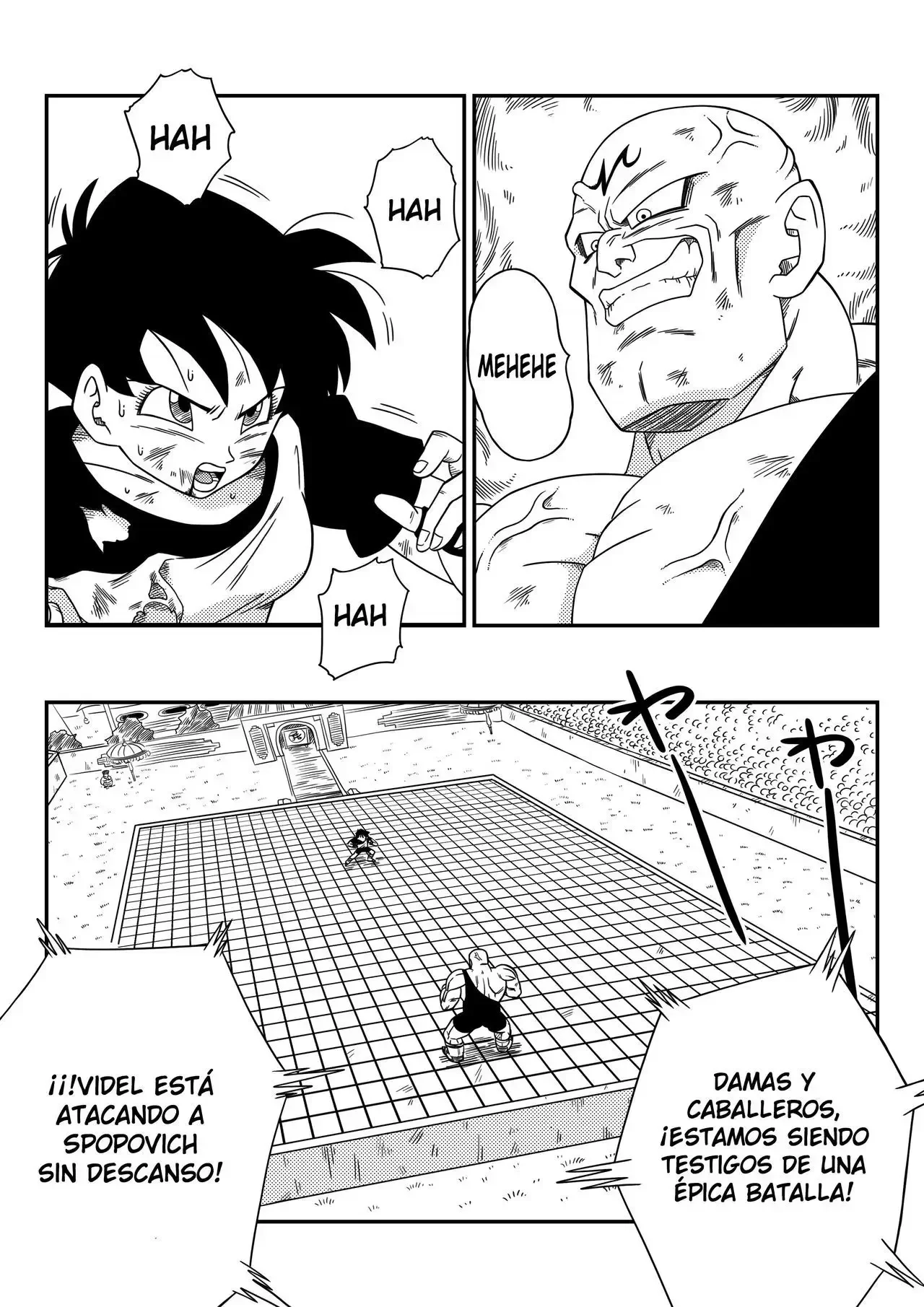 Videl VS Spopovich 02