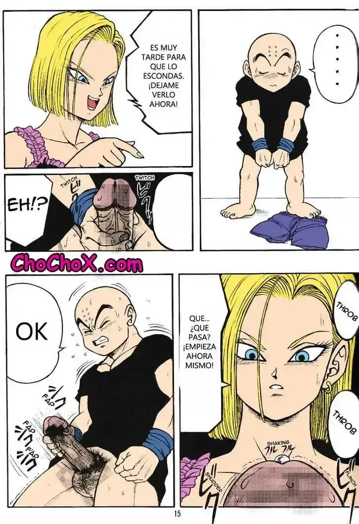 Dragon Ball H Krillin X 12