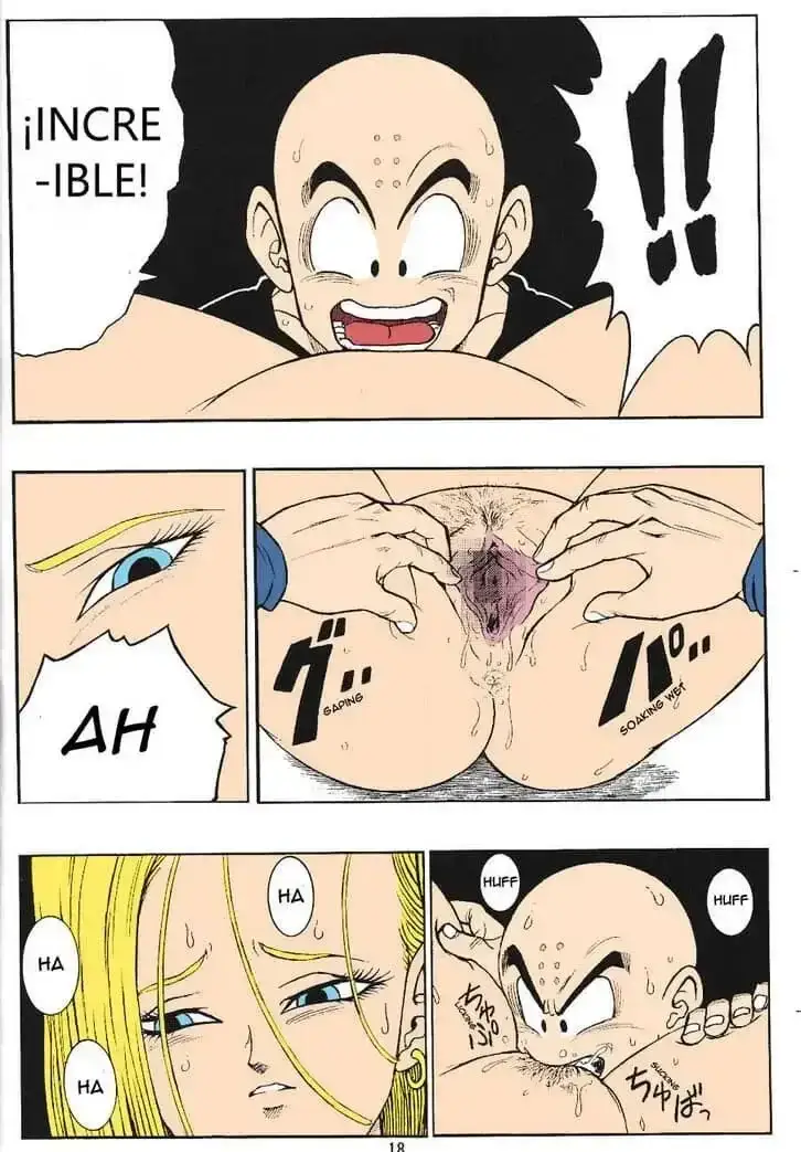 Dragon Ball H Krillin X 15