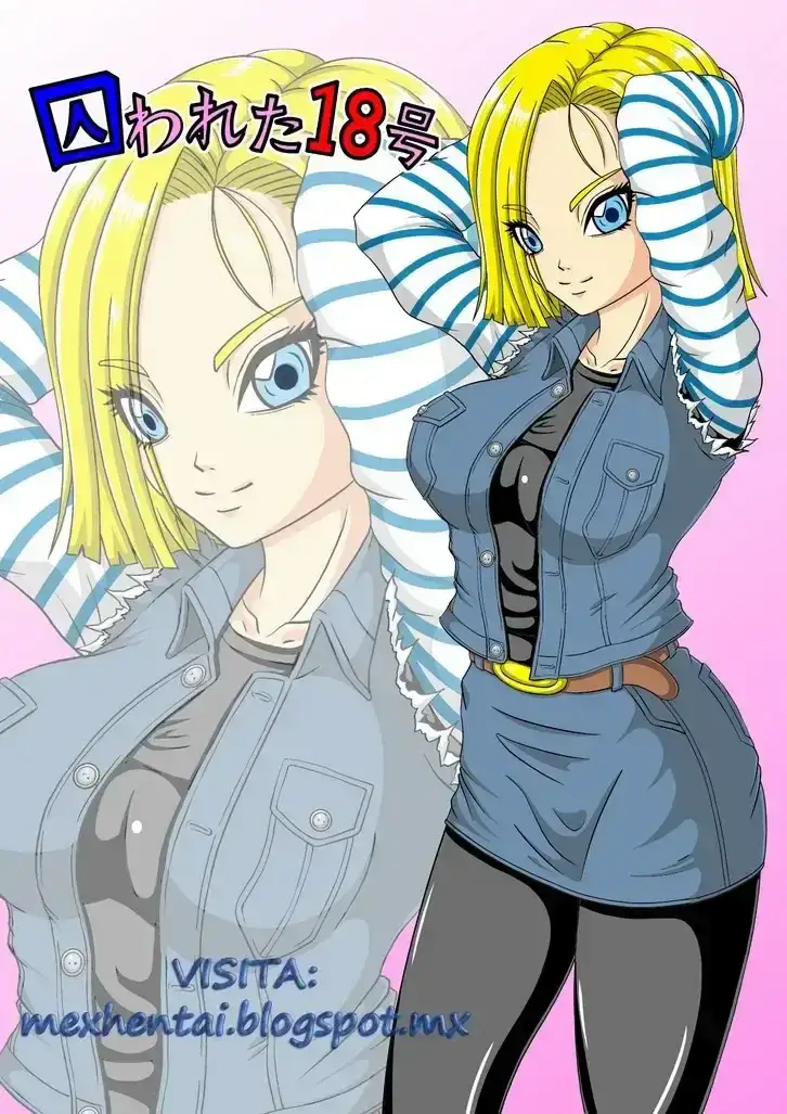 Torawareta 18 Gou DbZ 1